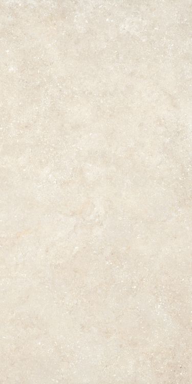 Untamed Wander Warm 24 x 48